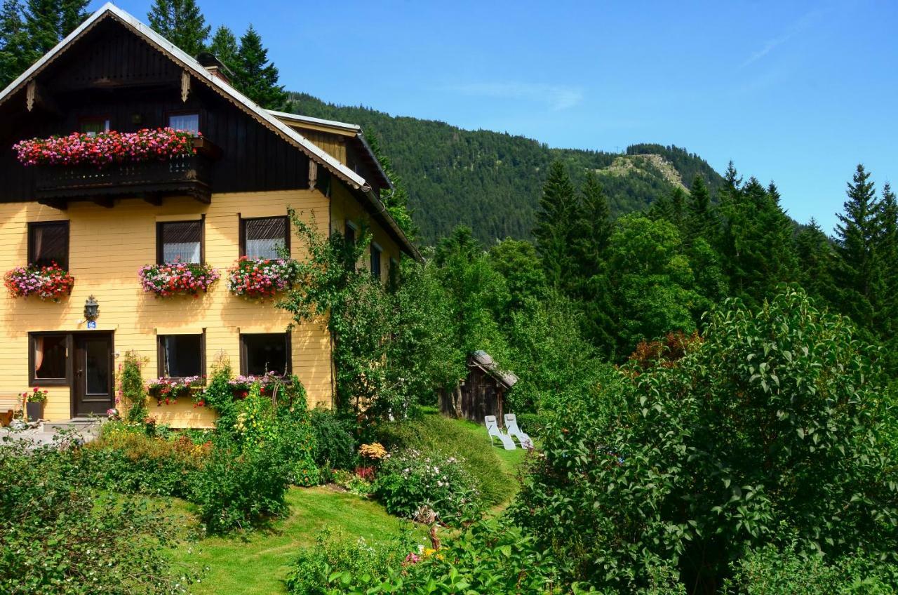 Lammerauhof Abtenau Extérieur photo